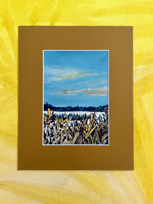 Mini Marsh 9